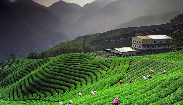 weekend getaways from agra,best weekend trips agra,agra travel destinations,weekend destinations agra,trips near agra,weekend escapes from agra,agra travel ideas,agra nearby destinations,historical getaways from agra,scenic retreats from agra