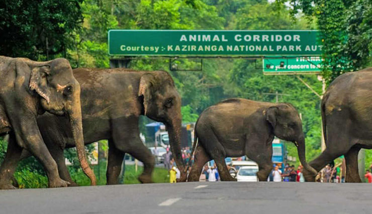 five travel spots of north east,travel spots,north east travel spots,travel,holidays,tourism,travel tips