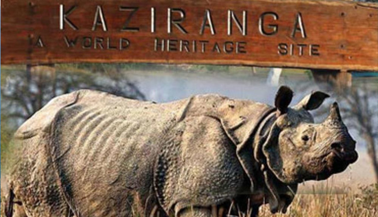 national parks,national parks in north east india,india national park,india tourism,kanchendzonga national park,kaziranga national park,dibru-saikhowa national park,manas national park,nameri national park,orang national park,travel,holidays,travel guide