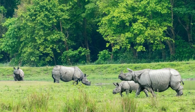 best places to visit in may india,may travel destinations india,hill stations to visit in may,summer getaways india,places to visit in may with family,romantic places in may india,cool places to travel in may,indian destinations for summer,spring travel india,may vacation spots india