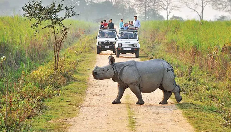 india national parks,top national parks in india,ranthambore national park,jim corbett national park,kaziranga national park,bandhavgarh national park,periyar national park,keibul lamjao national park,indian wildlife,biodiversity conservation,india travel destinations,nature tourism india,adventure in india,forest reserves india,eco-tourism india