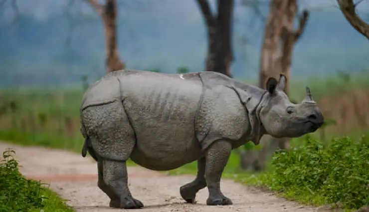 solo travel india,women solo travel,best solo destinations india,safe places to travel alone,solo female travel india,india travel tips,solo adventure india,women travel guide,travel india alone,scenic solo trips