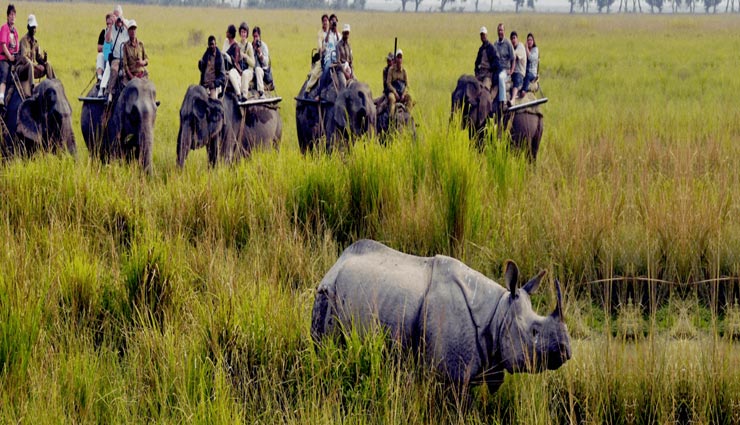 tourist places,indian tourist places,indian wild life sanctuaries,popular tourist places