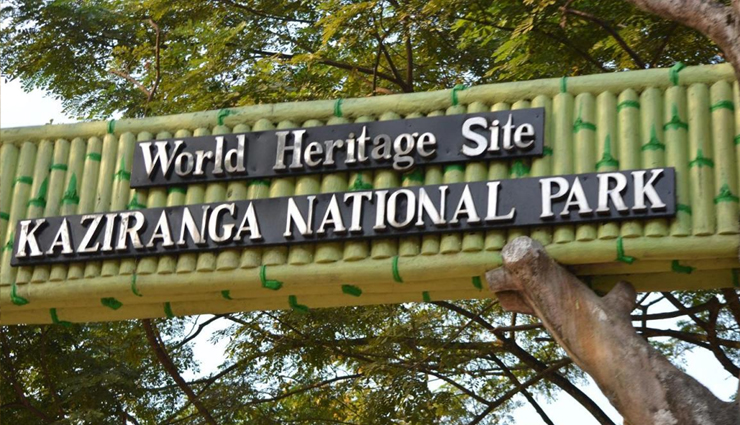 wildlife reserves to visit in india,reserves to visit in india,gir national park,kanha tiger reserve,sundarbans national park,mahatma gandhi marine national park,balpakram national park,kaziranga national park,travel,india travel,holidays,travel guide,india tourism