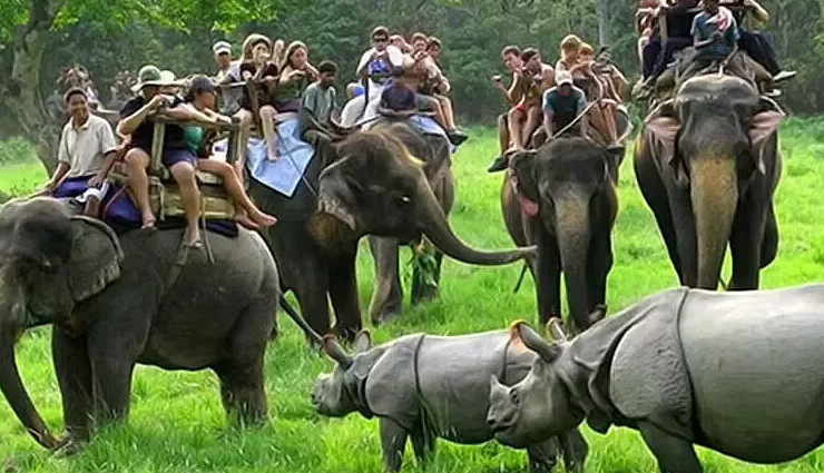 north east india national parks,wildlife sanctuaries in north east india,best national parks in north east india,north east india biodiversity hotspots,famous national parks in north east india,north east india wildlife tourism,bird watching in north east india national parks,trekking in north east india national parks,endangered species in north east india,conservation efforts in north east india national parks,north-eastern region of india,brahmaputra,himalayan mountain ranges,seven sisters,national parks,wilderness,dense jungles,species,elephant safari,kaziranga national park,assam,great one-horned rhinoceros,tigers,elephants,kanchendzonga national park,sikkim,alpine meadows,snow leopard,himalayan tahr,red panda,himalayan monal pheasant,manas national park,water buffalo,deer,langur,dibru-saikhowa national park,wetlands,marshes,white-winged wood duck,bengal florican,orang national park,great indian one-horned rhinoceros,royal bengal tiger,pygmy hog,elephants,water buffaloes,porcupines,dolphins,nameri national park,hornbills,ibis,white-winged wood duck,tigers,leopards,dholes,sambar,hog deer,sloth bear,balphakram national park,garo hills,bird watchers,colorful birds,dense jungles,treetops