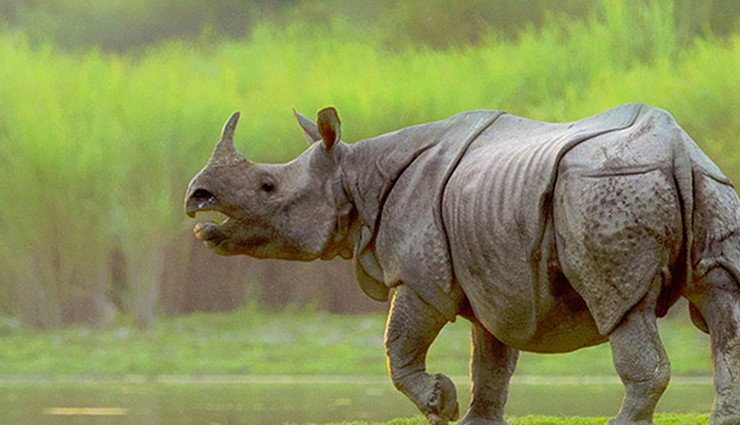 guwahati tourist attractions,places to visit in guwahati,best tourist spots near guwahati,historical places in guwahati,guwahati sightseeing guide,guwahati tourism highlights,natural wonders near guwahati,cultural attractions in guwahati,guwahati landmarks,guwahati travel destinations,guwahati day trips,guwahati points of interest,guwahati historical sites,scenic spots around guwahati,guwahati must-see places