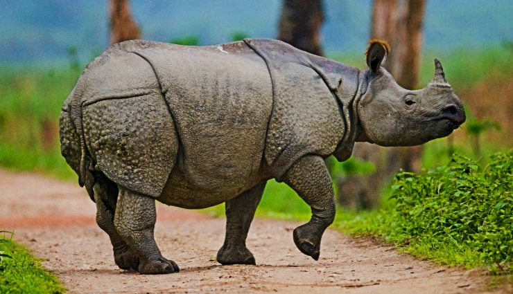 unesco world heritage national parks india,indian unesco heritage sites,explore national parks in india,top national parks for unesco in india,conservation areas in india,biodiversity hotspots india,best nature reserves india,wildlife sanctuaries india,ecotourism in india,historical national parks india