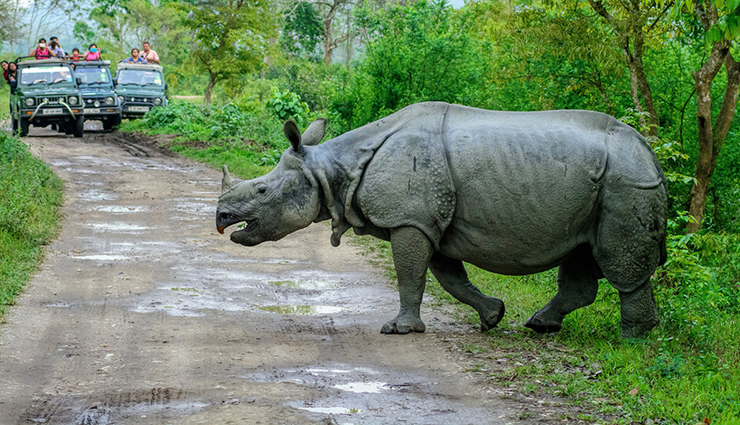 assam tourist spots,kaziranga national park,manas national park,kamakhya temple,majuli island,kakochang waterfalls,assam state zoo,assam botanical garden,northeast india travel,assam wildlife sanctuary,assam travel destinations,hidden gems in assam,northeast india attractions,assam cultural heritage,assam biodiversity,assam historical landmarks,assam adventure spots,assam tourism,top places to visit in assam,assam natural beauty