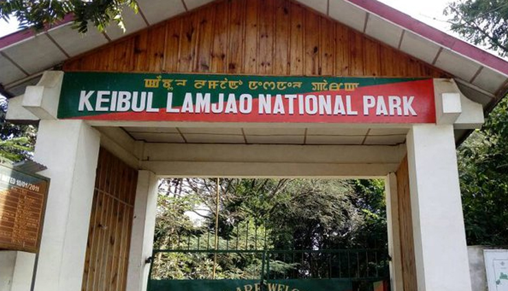 tourist attractions in manipur,must visit places in manipur,manipur travel guide,best places to visit in manipur,manipur tourism,best time to visit loktak lake,adventure activities in tharon cave,wildlife at keibul lamjao national park,historical significance of kangla fort,visiting ina memorial complex,scenic views from singda dam,architecture of shri govinda jee temple,relaxing at waithou lake,trekking in dzukou valley,birdwatching at shirui kashung peak,photography spots at leimaran waterfall,history of dal madol cannon,traditional pottery in andro,heritage sites in bishnupur,festivals celebrated at rasmancha