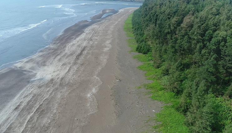 beautiful beaches in maharashtra,best beaches in maharashtra,maharashtra beach destinations,top beaches in maharashtra,maharashtra beach tourism,scenic beaches maharashtra,maharashtra coastal travel,best coastal spots maharashtra,maharashtra beach getaways,beaches to visit in maharashtra