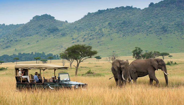 जंगलप्रेमियों के लिए बेहतरीन जगह हैं कीनिया, ले यहां घूमने का मजा