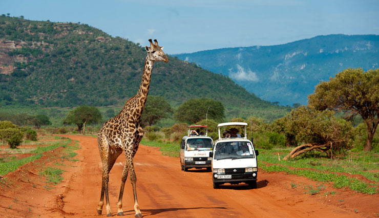 kenya,places to visit in kenya,wildlife lovers visit kenya,holidays,tourism,travel,wildlife in kenya,major attraction in kenya