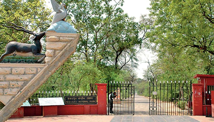 heritage sites to explore in rajasthan,chittorgarh fort,Kumbhalgarh,ranthambore fort,gagron fort,amber fort,jaisalmer fort,keoladeo national park,jantar mantar,tourist places in rajasthan