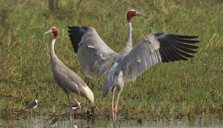 national parks you can visit in rajasthan,rajasthan tourism,rajasthan travel