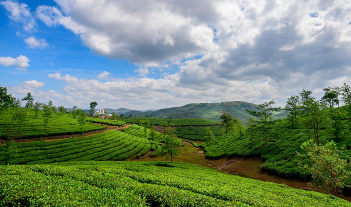 6 Beautiful Attractions To Visit in Vagamon, Kerala