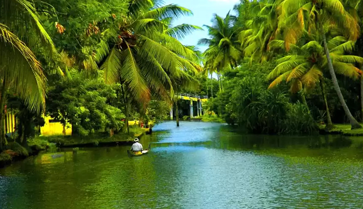 8 Places You Must Visit in Kerala