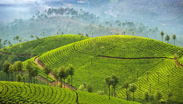 september in india is a magical time when the monsoon retreats,leaving behind lush green landscapes,flowing rivers,and refreshing air. explore the beauty of this shoulder season,perfect for peaceful travel without heavy tourist crowds.