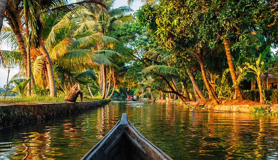 10 Honeymoon Places To Explore in Kerala