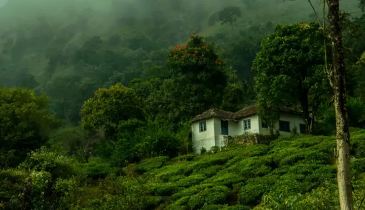 kerala summer travel,summer destinations in kerala,best time to visit kerala in summer,kerala summer attractions,kerala summer tourism,summer experiences in kerala,kerala summer vacation spots,kerala summer travel tips,kerala summer weather,exploring kerala in summer,kerala summer holiday destinations,kerala summer travel guide,kerala summer activities,kerala summer getaway,kerala summer sightseeing,kerala summer tour packages,kerala summer adventure,summer escapades in kerala,kerala summer tourism experiences,must-visit places in kerala during summer