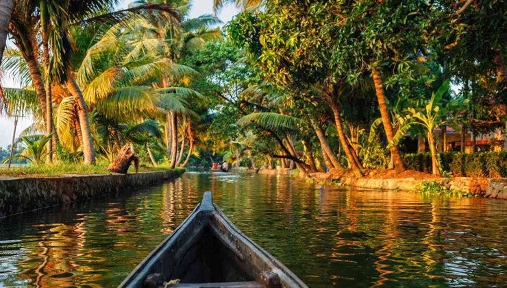 reasons to visit kerala,kerala tourism,kerala travel guide,best places in kerala,kerala holiday destinations,kerala attractions,kerala backwaters,kerala culture and heritage,kerala wildlife,kerala beaches,kerala food,kerala adventure tourism,kerala sightseeing,kerala natural beauty