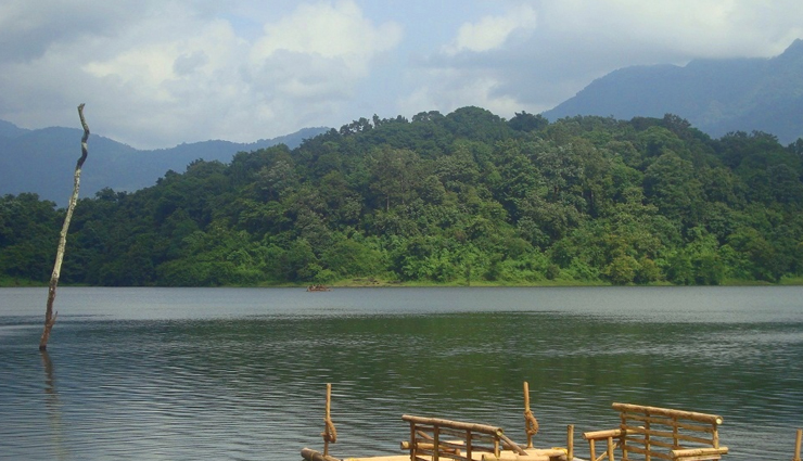 wildlife sanctuaries to visit in kerala,national parks in kerala,kerala,periyar tiger reserve,begur wildlife sanctuary,aralam wildlife sanctuary,thattekad bird sanctuary,eravikulam national park,chimmony wildlife sanctuary