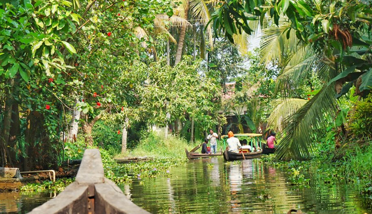 kerala backwaters,places in kerala backwaters,alleppey backwaters,kozhikode backwaters,kuttanad backwaters,ashtamudi backwaters,thrissur backwaters