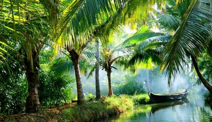 kerala backwaters,places in kerala backwaters,alleppey backwaters,kozhikode backwaters,kuttanad backwaters,ashtamudi backwaters,thrissur backwaters