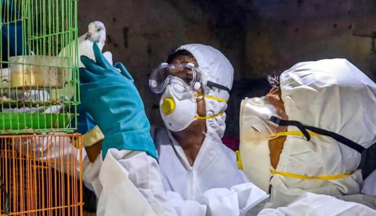 coronavirus update,kerala reports sudden hike in covid-19 cases,covid 19 cases,kerala,news