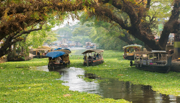 7 Enchanting Scenic Destinations To Visit in Kerala 