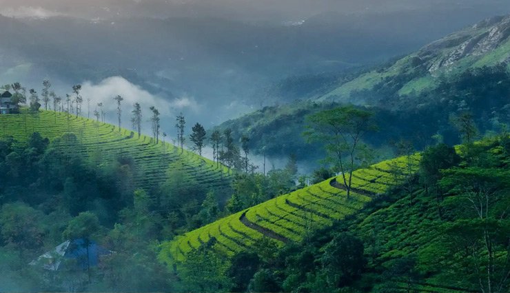 best places to visit in india in november,top tourist destinations in india in november,india travel guide for november,must-visit places in india in november,best hill stations in india in november,cultural destinations in india in november,november travel destinations in india,romantic destinations in india november,beach destinations in india november,historical places to visit in india november,adventure destinations in india november,best time to visit india’s tourist spots,best weather for travel in india,where to travel in india in november,india travel itinerary for november,best indian cities to explore in november