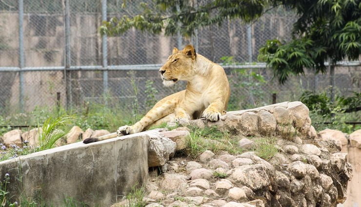 largest zoos of india,holidays,travel,tourism