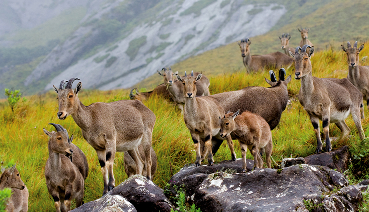 public stops in kerala,holidays,travel,tourism,kerala tourism