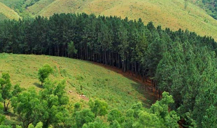 beautiful attractions to visit in vagamon,kerala,holiday,travel,tourism