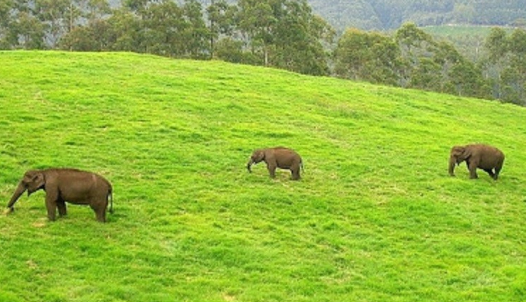 public stops in kerala,holidays,travel,tourism,kerala tourism