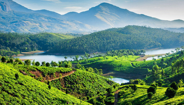 dolphins,spotting dolphins,spotting dolphins in india,tourist places in india,india tourism,travel,holidays