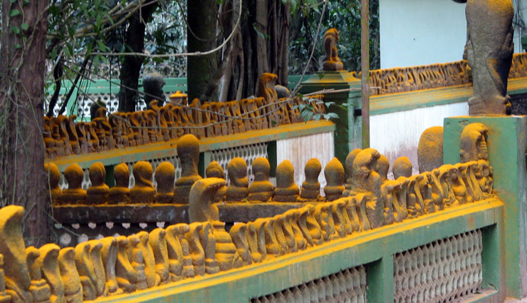 animals are worshiped in these 6 temples of india,holidays,travel,tourism