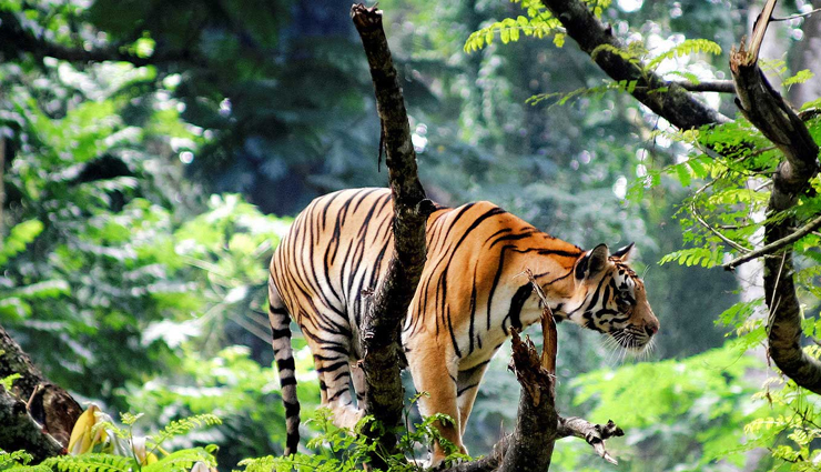 spots to visit in kerala,kerala tourism,travel,holidays