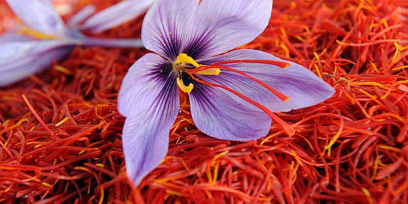 sawan month 2018,sawan 2018,shivji