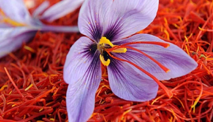 winter super foods,super foods in winter,winter super foods benefits,sweet potatoes,turnip and its leaves,dates,almonds and walnuts,ragi,bajra,healthy foods,Health,Health tips