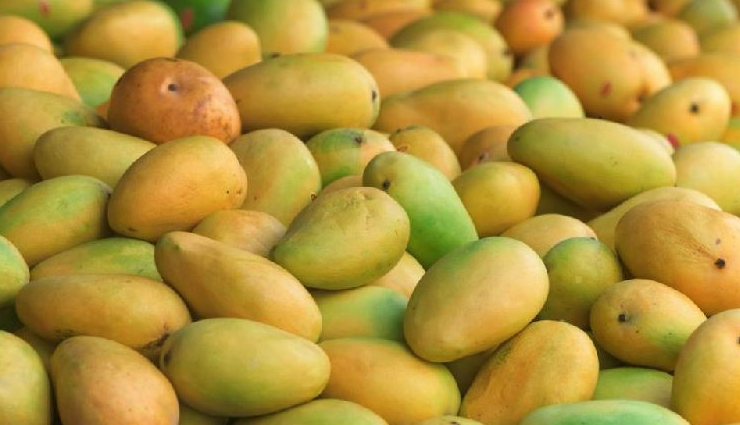 mango varieties,types of mangoes,different mango cultivars,popular mango types,exotic mango varieties,unique mango cultivars,mango species and varieties,mango diversity and types,best mango types to try,exploring different mango varieties
