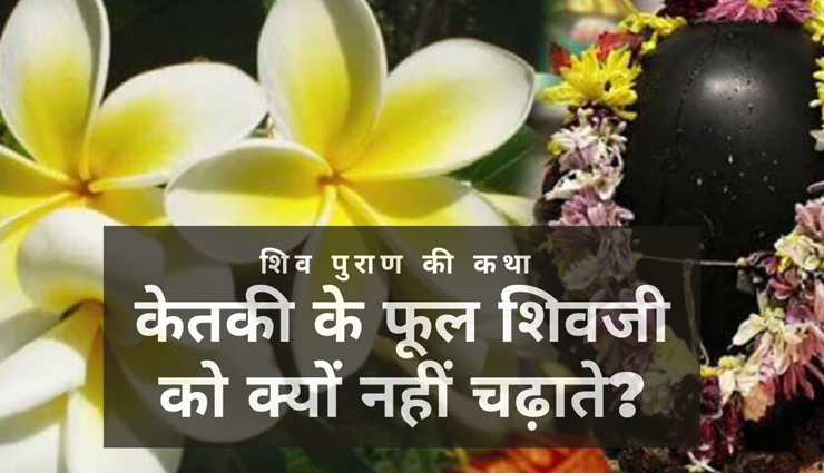 सावन स्पेशल : भोलनाथ को क्यों नहीं चढ़ाए जाते केतकी के फूल? शिवपुराण से जानें इसका राज