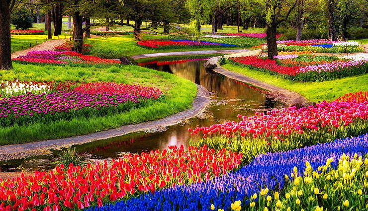 tourist destinations in the netherlands,must-see places in the netherlands,top tourist attractions netherlands,best places to visit in the netherlands,netherlands travel highlights,famous landmarks in the netherlands,dutch tourist spots,explore the netherlands,hidden gems in the netherlands,netherlands travel guide