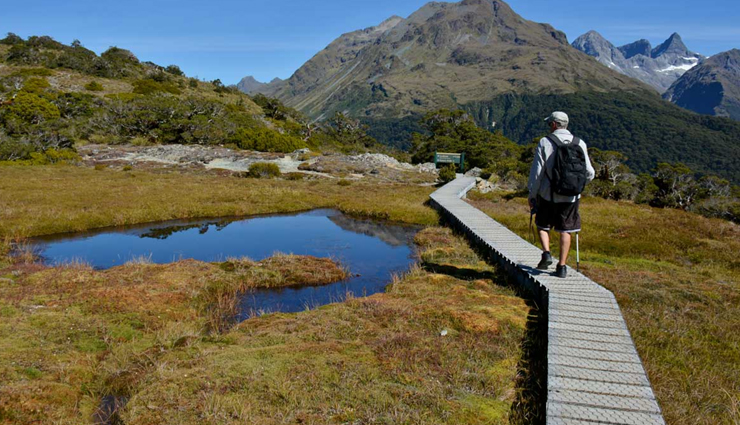 new zealand,short walk tracks,short walk tracks in new zealand,new zealand travel,travel tips,travel advisory
