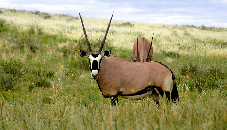 south africa,destinations in south africa,least known destinations south africa,stellenbosch,blyde river canyon,addo elephant national park,robben island,drakensberg,kgalagadi transfrontier park,isimangaliso wetland park,the garden route,hermanus,the golden mile,travel,holidays