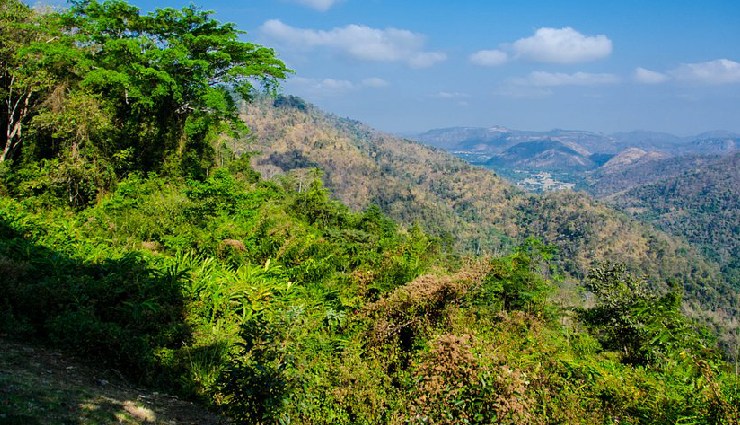 thailand tourist places,best places to visit in thailand,thailand travel guide,thailand vacation spots,things to do in thailand,thailand attractions,must-visit places in thailand,thailand islands,thailand beaches,bangkok travel,phi phi island tourism,krabi attractions,koh tao diving,hua hin beach,thailand in march,thailand travel tips,thailand itinerary