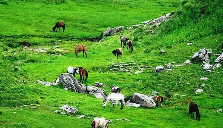 valleys to visit in nepal,best valleys in nepal,nepal travel destinations,scenic valleys in nepal,top valleys to explore in nepal,must-visit valleys in nepal,nepal nature tourism,himalayan valleys in nepal