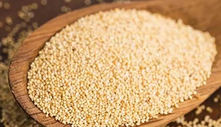 खसखस का हलवा : सर्दी से निपटने में होता है कारगर, दिमाग में दिनभर बनी रहती है तरावट #Recipe khaskhas ka halwa,khaskhas ka halwa sweet dish,khaskhas ka halwa winter,khaskhas ka halwa nutrition,khaskhas ka halwa tasty,khaskhas ka halwa healthy,khaskhas ka halwa ingredients,khaskhas ka halwa recipe,poppy seeds