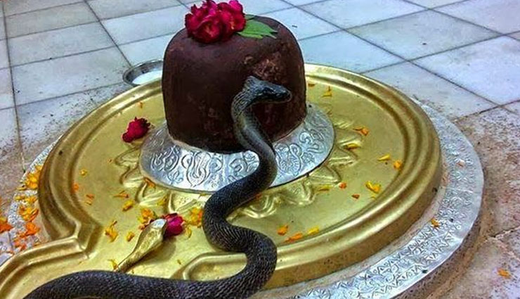 kherepati shiv temple kanpur,sawan,sawan 2018