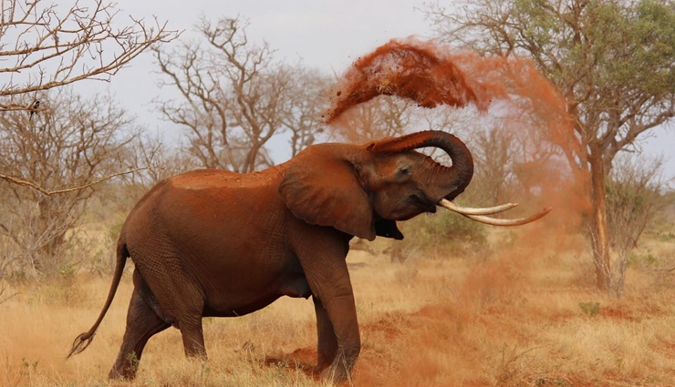 wildlife sanctuaries,wildlife sanctuaries to visit in india,places to visit in india,india