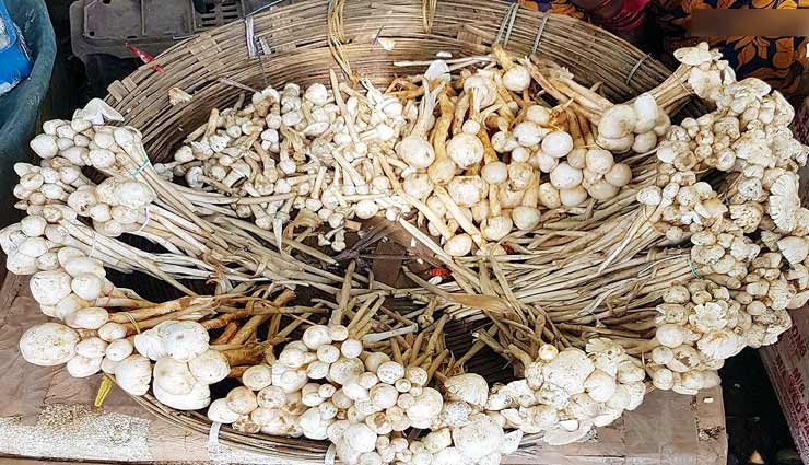 सिर्फ दो राज्यों में मिलती हैं देश की सबसे महँगी सब्जी, बाजार में आते ही बिकती हैं हाथों-हाथ